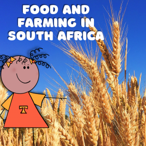 Grade 4: Geography: Term 3: Food and Farming in South Africa