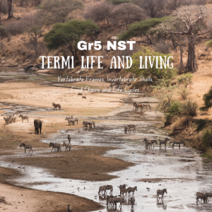 Grade 5: NST: Term 1: Life and Living/Structures