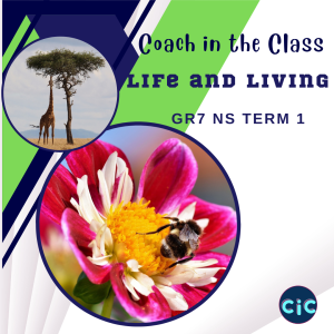 Grade 7: NS: Term 1: Life & Living: Classification